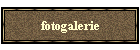 fotogalerie