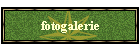 fotogalerie