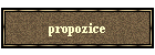 propozice